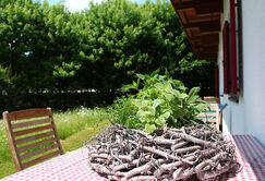 Ferienwohnung - Garten-Veider